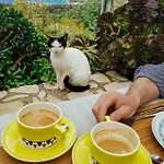 Πανσιόν Elea Χειμάρρα