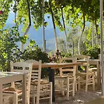 Elea Χειμάρρα