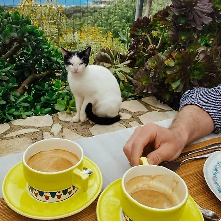 Pensjonat Elea Himara