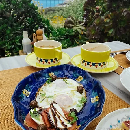 招待所 Elea 希马拉