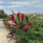 Elea Himare