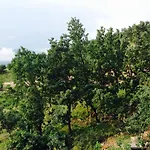 Elea
