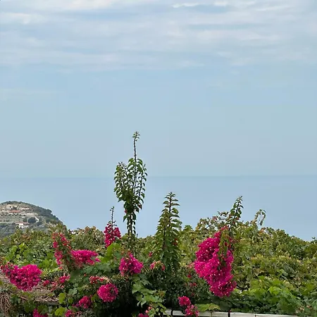 Pensionat Elea Himare