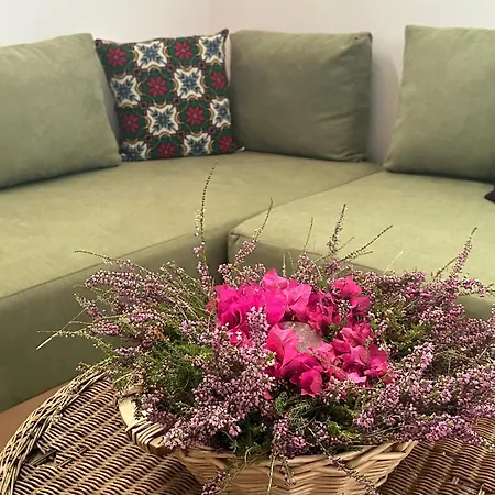 Elea Guest house