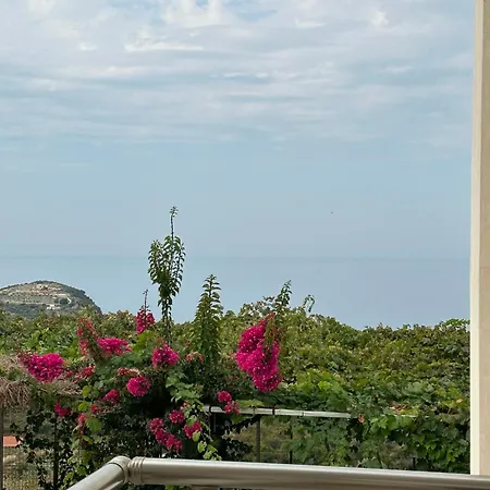 Casa de hóspedes Elea 3*