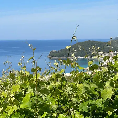 Elea Casa de hóspedes 3*